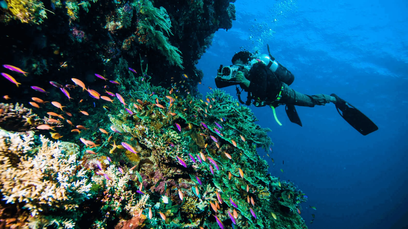 ГлавнаяOcean City by Parq – Виллы с океаническим бассейном